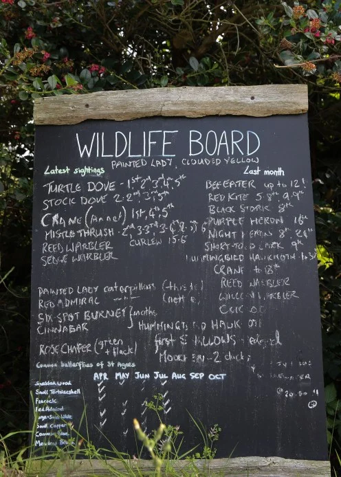 Best Things To Do In The Isles Of Scilly When Visiting St Agnes