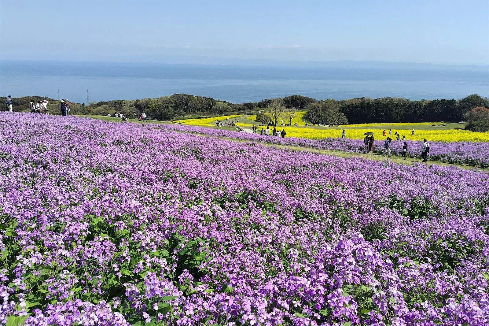 Setouchi Road Trip