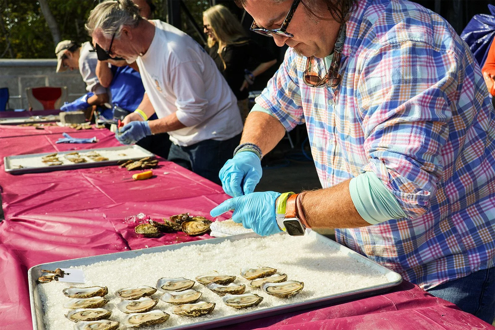 Wellfleet OysterFest