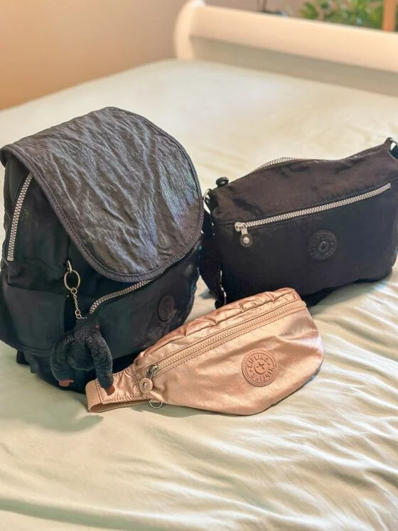 Kipling Belt Bag