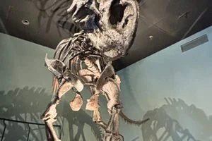 Exploring the Academy of Natural Sciences: A Jewel of Natural History