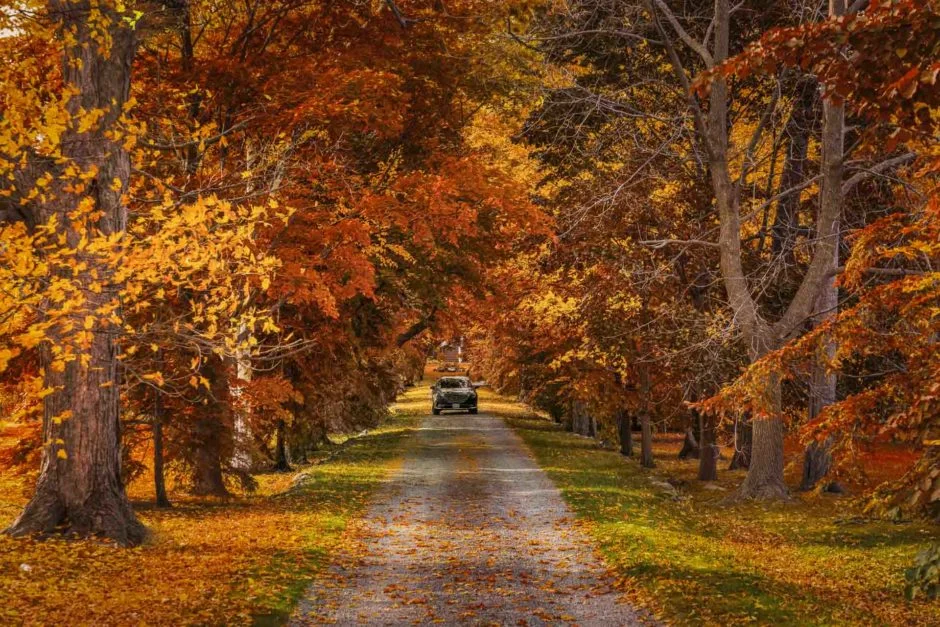 Discover Breathtaking Day Trips from Toronto: Nature, Culture, and Adventure Await